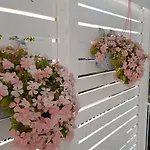 Vistamare Bed & Breakfast